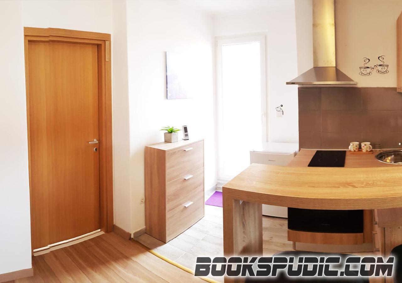 Penthouse Spudic Karlovacアパートメント エクステリア 写真
