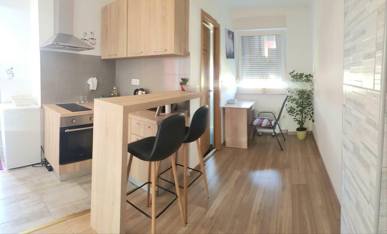 Penthouse Spudic Karlovacアパートメント エクステリア 写真